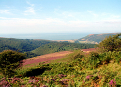 View from Dunkery  