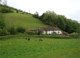 Travellers Rest holiday acottage accommodation on Exmoor