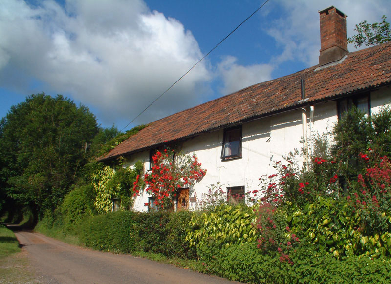 Large Self Catering Holiday Cottage Accommodation In Snowdrop